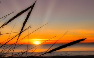 Love by the Coast: Romantic Escapes